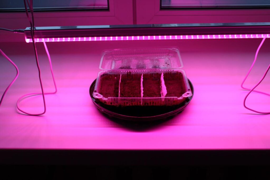 LED лампа для рослин