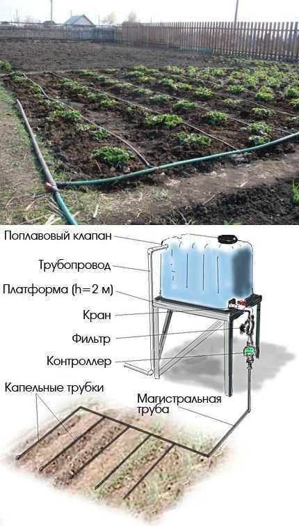 фертигація через крапельний полив